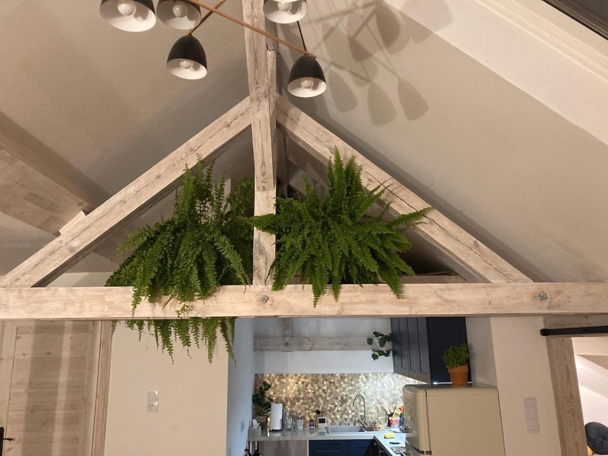 Attic Appart Torun Exterior foto