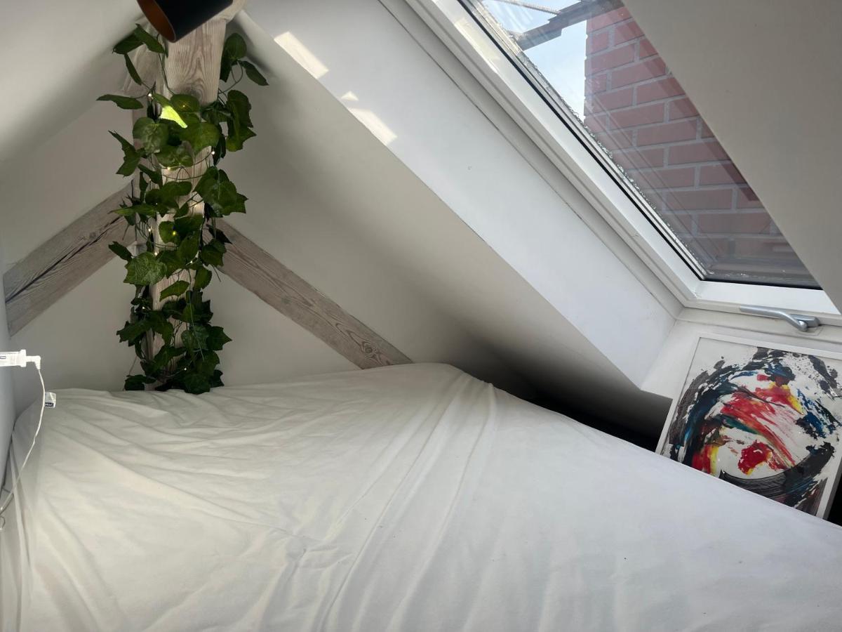 Attic Appart Torun Exterior foto