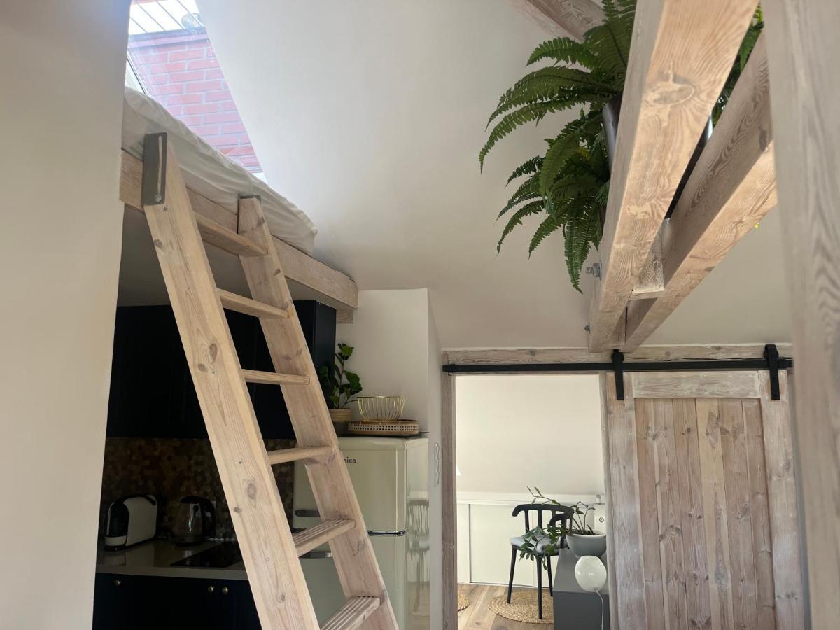 Attic Appart Torun Exterior foto